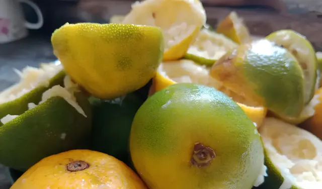 Fresh seasonal citrus fruits