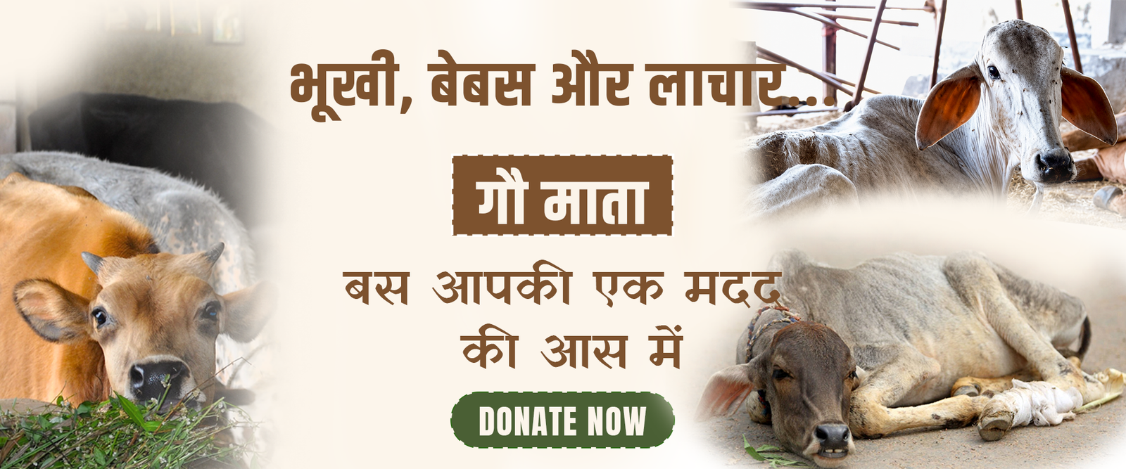 DHARAMVEER SEWA FOUNDATION